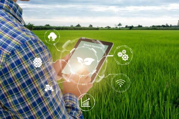 Marketing agricole